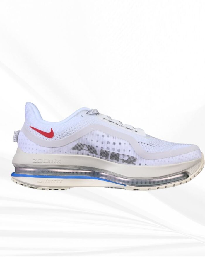 Nike Pegasus Premium