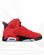 Air Jordan 6 “Toro”