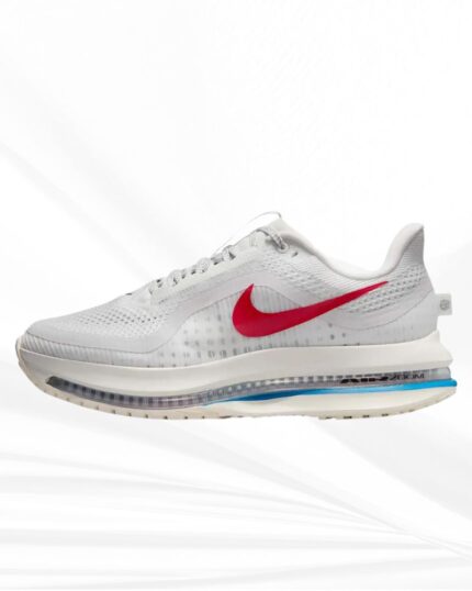 Nike Pegasus Premium