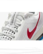 Nike Pegasus Premium