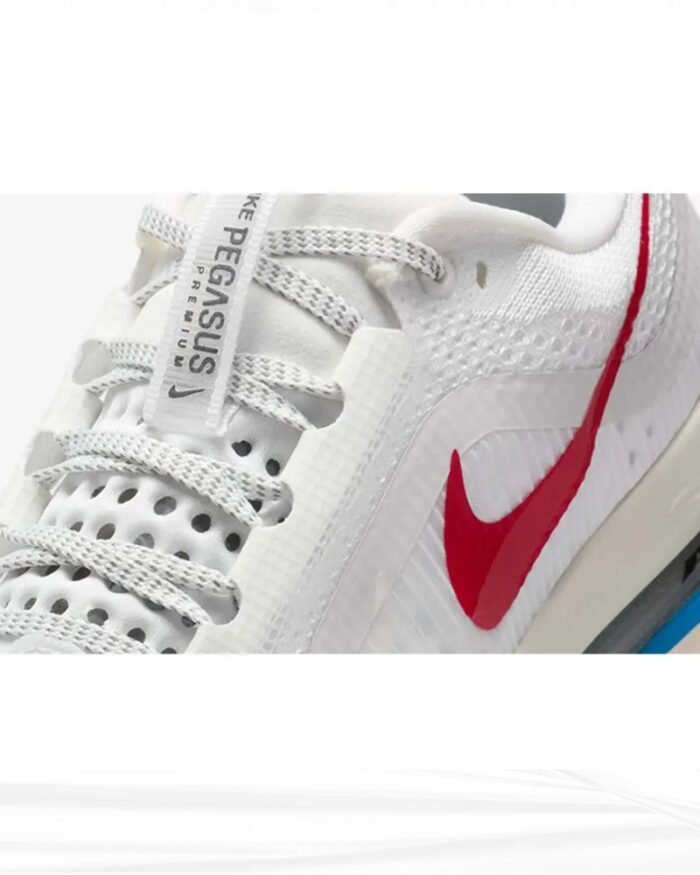 Nike Pegasus Premium