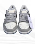 Dior Air Jordan 1 Low
