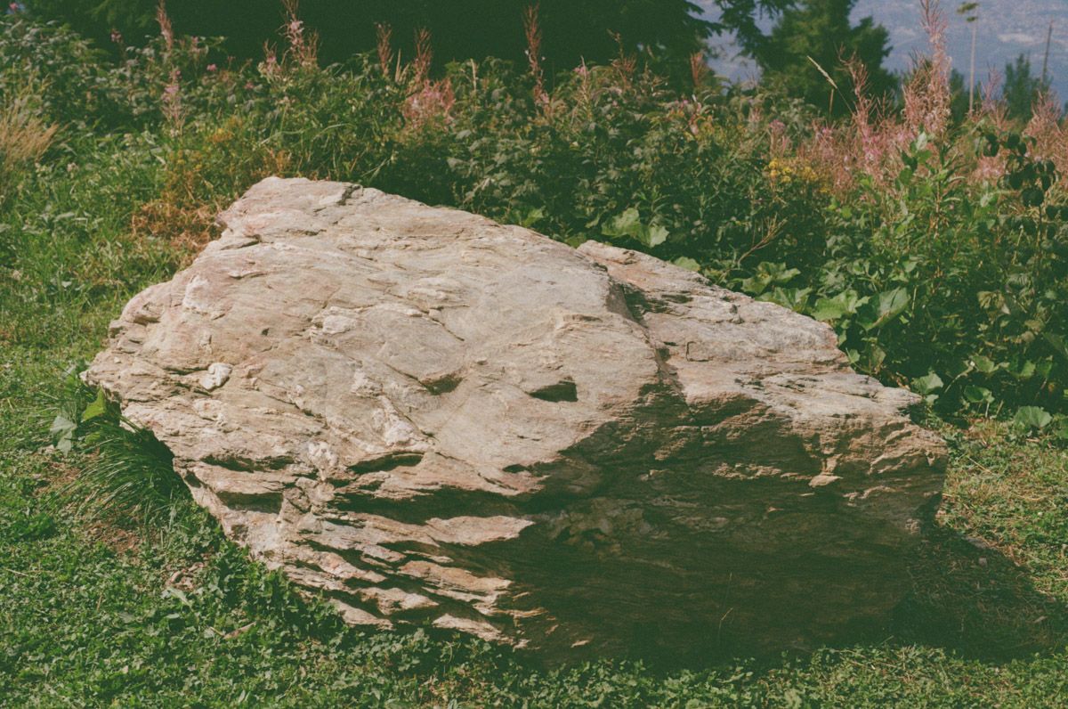 “The Day My Mother Cried” by Giulia Linarta